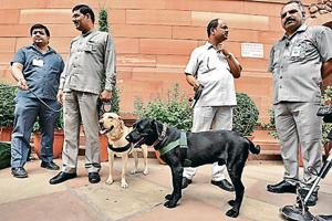 Security personnel and sniffer dogs stand to check the budget papers that are unloaded from a truck, at Parliament House, in New Delhi, India, on Friday, July 5, 2019. (Photo by Raj K Raj/Hindustan Times) Security personnel and sniffer dogs stand to check the budget papers that are unloaded from a truck, at Parliament House, in New Delhi, India, on Friday, July 5, 2019. (Photo by Raj K Raj/Hindustan Times)