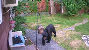 The incident was caught on camera by Mark Stinziano.(Facebook/Mark Stinziano) The incident was caught on camera by Mark Stinziano.(Facebook/Mark Stinziano)