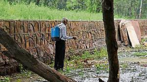 The south body alleged the government had sanctioned only Rs 2.15 crore for vector-borne disease control.(HT archive) The south body alleged the government had sanctioned only Rs 2.15 crore for vector-borne disease control.(HT archive)