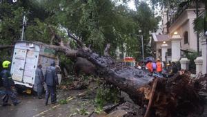 Three vehicle were damaged after the tree collapse at Panchpakhadi on Friday.(Praful Gangurde/ HT Photo) Three vehicle were damaged after the tree collapse at Panchpakhadi on Friday.(Praful Gangurde/ HT Photo)