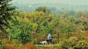 The sighting of endemic Indian birds in the park show that bioremediation has brought back a large number of native species.(Parveen Kumar/HT Photo) The sighting of endemic Indian birds in the park show that bioremediation has brought back a large number of native species.(Parveen Kumar/HT Photo)