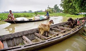 Villagers transport food grains and animals on a boat in Burha Burhi village of Gauhati on Monday.(Photo: AP)