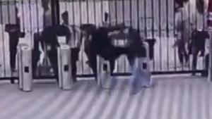 The video, recorded on a security camera, shows the chimp running towards the main gate of the facility(Twitter/@CGTNOfficial)