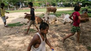 Children of Yahon’s North Dagon playing touch rugby(AFP) Children of Yahon’s North Dagon playing touch rugby(AFP)