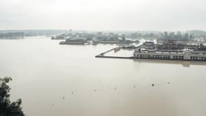 Paddy fields submerged into knee-deep water on Patiala-Dakala road on Wednesday , July 17, 2019.(Bharat Bhushan / HT Photo) Paddy fields submerged into knee-deep water on Patiala-Dakala road on Wednesday , July 17, 2019.(Bharat Bhushan / HT Photo)