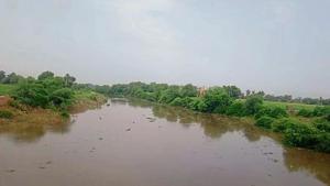 Nearly 4,650 cusecs water was recorded in the Ghaggar river near Rania town of Haryana’s Sirsa district.(HT Photo) Nearly 4,650 cusecs water was recorded in the Ghaggar river near Rania town of Haryana’s Sirsa district.(HT Photo)