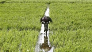 The issue was raised by Leader of Opposition Gopal Bhargava during a discussion on the farm loan waiver scheme.(PTI File Photo) The issue was raised by Leader of Opposition Gopal Bhargava during a discussion on the farm loan waiver scheme.(PTI File Photo)