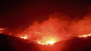A fire broke out at Aarey Colony on December 3 last year.(HT File Photo) A fire broke out at Aarey Colony on December 3 last year.(HT File Photo)