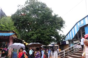 In April, CR had written to the AMC, asking for permission to cut the trees which are on the station’s eastern side, so that it can add additional tracks and infrastructure. In April, CR had written to the AMC, asking for permission to cut the trees which are on the station’s eastern side, so that it can add additional tracks and infrastructure.