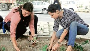 For the successful implementation of afforestation under Jal Shakti Abhiyan, less water-intensive plants are to be planted.(Sourced) For the successful implementation of afforestation under Jal Shakti Abhiyan, less water-intensive plants are to be planted.(Sourced)