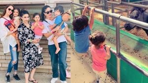 Prianka Singha, Soha Ali Khan and Kareena Kapoor with their kids at an animal farm in London.(Instagram) Prianka Singha, Soha Ali Khan and Kareena Kapoor with their kids at an animal farm in London.(Instagram)