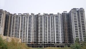 An unfinished residential project of Amrapali at Sector 76 in Noida(HT photo) An unfinished residential project of Amrapali at Sector 76 in Noida(HT photo)