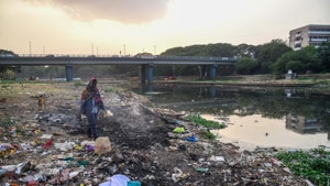 The task force will also submit regular reports to the Central Pollution Control Board (CPCB).(HT Photo) The task force will also submit regular reports to the Central Pollution Control Board (CPCB).(HT Photo)