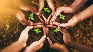 The Ghaziabad district administration has called on women to be part of the plantation drive from August 3 to August 9.(Getty Images/ Representational Image) The Ghaziabad district administration has called on women to be part of the plantation drive from August 3 to August 9.(Getty Images/ Representational Image)