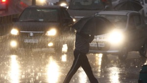 rainwater harvesting(HT Photo) rainwater harvesting(HT Photo)