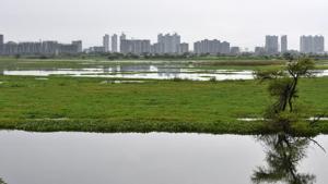 5,600 acres of land in eight villages remain submerged almost throughout the year because of frequent flooding and submerging of Najafgarh jheel. State human rights commission has sought a report.(HTPHOTOS/Vipin Kumar) 5,600 acres of land in eight villages remain submerged almost throughout the year because of frequent flooding and submerging of Najafgarh jheel. State human rights commission has sought a report.(HTPHOTOS/Vipin Kumar)