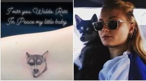 Sophie Turner and her husband Joe Jonas got a tattoo in memory of her pet dog, named Waldo, which died recently.(Instagram) Sophie Turner and her husband Joe Jonas got a tattoo in memory of her pet dog, named Waldo, which died recently.(Instagram)