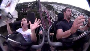 Bird slams girl during a roller coaster ride.(Facebook/Nicole Ormiston) Bird slams girl during a roller coaster ride.(Facebook/Nicole Ormiston)