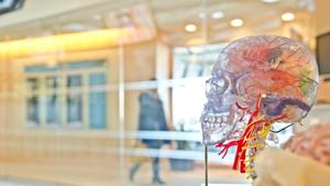 Facebook-backed research sees progress linking brain signals to words.(Unsplash) Facebook-backed research sees progress linking brain signals to words.(Unsplash)