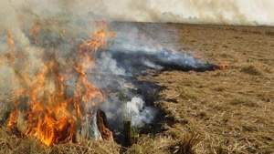 Police reached the spot and seized the body for post-mortem. (HT file photo) Police reached the spot and seized the body for post-mortem. (HT file photo)