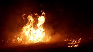 The incident took place near Purnia bus stand when the bus was moving out for its onward journey to Siliguri. The bus was coming from Muzaffarpur.(PTI representative photo) The incident took place near Purnia bus stand when the bus was moving out for its onward journey to Siliguri. The bus was coming from Muzaffarpur.(PTI representative photo)