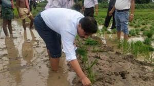 District collector of Ganjam district planted saplings.(HT photo) District collector of Ganjam district planted saplings.(HT photo)