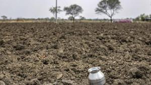 Marathwada and Vidarbha are still reeling under rainfall deficit.(Bloomberg photo) Marathwada and Vidarbha are still reeling under rainfall deficit.(Bloomberg photo)
