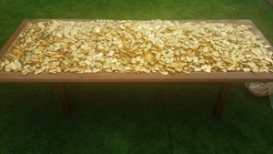 The SIT raided the place and seized the 5,880 gold bars weighing 303 kg, it added. (Photo @ANI) The SIT raided the place and seized the 5,880 gold bars weighing 303 kg, it added. (Photo @ANI)