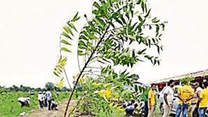 New Delhi, India- Sept 08, 2018: People plant a sapling in the Yamuna flood plains after Delhi CM Arvind Kejriwal launched a mega tree plantation drive at Usmanpur village near Shastri park, in north-east Delhi, India on Saturday, September 08, 2018. (Photo by Sonu Mehta/ Hindustan Times) New Delhi, India- Sept 08, 2018: People plant a sapling in the Yamuna flood plains after Delhi CM Arvind Kejriwal launched a mega tree plantation drive at Usmanpur village near Shastri park, in north-east Delhi, India on Saturday, September 08, 2018. (Photo by Sonu Mehta/ Hindustan Times)
