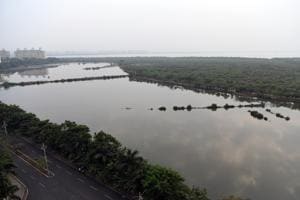 In order for new areas to be designated as wetlands, they must be identified as such by the state.(HT Photo) In order for new areas to be designated as wetlands, they must be identified as such by the state.(HT Photo)