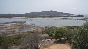 Environmentalists have questioned the state mangrove and wetland panel’s claim that Panje is not a wetland. (Reptresentative Image)(Pratik Chorge/HT Photo) Environmentalists have questioned the state mangrove and wetland panel’s claim that Panje is not a wetland. (Reptresentative Image)(Pratik Chorge/HT Photo)