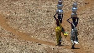 Ending the degradation of land can play an important role in securing a liveable planet by cutting emissions, providing sustainable food and reducing poverty. The threat of land degradation is real for India(AP)
