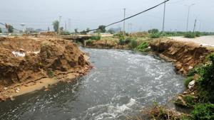 On paper, Haryana has the capacity to recycle about 80% of the domestic effluents it releases into the Yamuna River. On paper, Haryana has the capacity to recycle about 80% of the domestic effluents it releases into the Yamuna River.