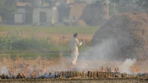 A farmer walks back after burning paddy crop stubble on the outskirts of Amritsar, Punjab.(AP file photo) A farmer walks back after burning paddy crop stubble on the outskirts of Amritsar, Punjab.(AP file photo)