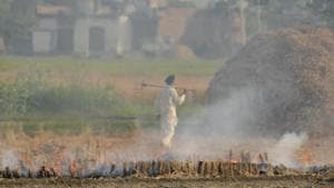 An Indian farmer walks back after burning paddy crop stubble on the outskirts of Amritsar, Punjab.(Photo: AP) An Indian farmer walks back after burning paddy crop stubble on the outskirts of Amritsar, Punjab.(Photo: AP)