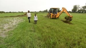 The Noida International Airport Limited on Tuesday said the Wildlife Institute of India (WII) will form a committee of scientists to prepare a conservation plan for the site at Jewar along the 165km Yamuna Expressway where the Noida International Greenfield airport is proposed to be built.(Virendra Singh Gosain/HT PHOTO) The Noida International Airport Limited on Tuesday said the Wildlife Institute of India (WII) will form a committee of scientists to prepare a conservation plan for the site at Jewar along the 165km Yamuna Expressway where the Noida International Greenfield airport is proposed to be built.(Virendra Singh Gosain/HT PHOTO)