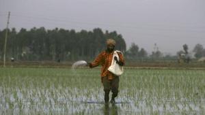 Fertiliser major IFFCO on Thursday reduced the price of its complex fertilisers, including DAP, by <span class='webrupee'>₹</span>50 per bag as part of efforts to bring down farmers’ input cost. (Representative Image)(AP) Fertiliser major IFFCO on Thursday reduced the price of its complex fertilisers, including DAP, by <span class='webrupee'>₹</span>50 per bag as part of efforts to bring down farmers’ input cost. (Representative Image)(AP)