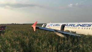 A view shows the Ural Airlines Airbus 321 passenger plane following an emergency landing in a field near Zhukovsky International Airport in Moscow Region.(Reuters Photo) A view shows the Ural Airlines Airbus 321 passenger plane following an emergency landing in a field near Zhukovsky International Airport in Moscow Region.(Reuters Photo)