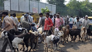 The BMC submitted that it had received 19 complaints of violations so far, and had already taken action against the offenders.(HT image) The BMC submitted that it had received 19 complaints of violations so far, and had already taken action against the offenders.(HT image)