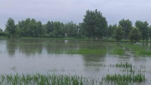 Flooded Sutlej entered several villages of Anandpur Sahib sub-division.(HT photo) Flooded Sutlej entered several villages of Anandpur Sahib sub-division.(HT photo)