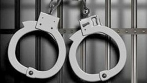 According to the police, a woman had lodged a complaint alleging that the man had molested her two minor daughters.(HT image) According to the police, a woman had lodged a complaint alleging that the man had molested her two minor daughters.(HT image)