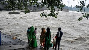 The reason behind the huge crowd there: everyone wants to take a look at a pregnant Yamuna.(ANI photo(Representational image)) The reason behind the huge crowd there: everyone wants to take a look at a pregnant Yamuna.(ANI photo(Representational image))