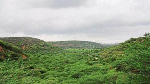 The forest department said the GMDA would supply tertiary -level treated wastewater to the lake through a pipeline that will be built by the development authority.(HT image) The forest department said the GMDA would supply tertiary -level treated wastewater to the lake through a pipeline that will be built by the development authority.(HT image)