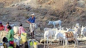 Climate change and monsoon failures have repeatedly caused droughts in UP’s Bundelkhand.(Sourced) Climate change and monsoon failures have repeatedly caused droughts in UP’s Bundelkhand.(Sourced)