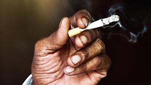The toll free Tobacco Quit-line Service provides counseling and strategies for quitting tobacco use. (HT Photo) The toll free Tobacco Quit-line Service provides counseling and strategies for quitting tobacco use. (HT Photo)