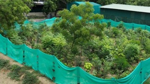 The BMC is in the process of drafting a policy regarding the 1,068 gardens and playgrounds in the city, with the aim of improving them.(HT image) The BMC is in the process of drafting a policy regarding the 1,068 gardens and playgrounds in the city, with the aim of improving them.(HT image)
