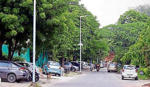 A view of the recently installed LED streetlights at the privately developed Suncity in Gurugram(HT image) A view of the recently installed LED streetlights at the privately developed Suncity in Gurugram(HT image)