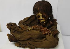 Nicknamed Nusta, a Quechua word for “Princess,” the mummy recently returned to its native Bolivia 129 years after it was donated to the Michigan State University museum in 1890. (AP Photo/Juan Karita)(AP) Nicknamed Nusta, a Quechua word for “Princess,” the mummy recently returned to its native Bolivia 129 years after it was donated to the Michigan State University museum in 1890. (AP Photo/Juan Karita)(AP)