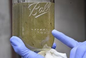 Microplastics enter freshwater primarily from water flowing on surface and wastewater effluents(AP/File) Microplastics enter freshwater primarily from water flowing on surface and wastewater effluents(AP/File)
