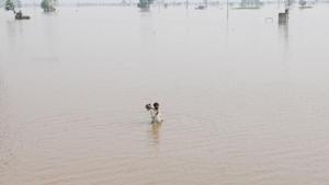 In July, the breach in Ghaggar river banks at Phulad village near Moonak had resulted in flooding of crops on 10,000 acres in six villages, besides Moonak town.(Bharat Bhushan / HT File Photo) In July, the breach in Ghaggar river banks at Phulad village near Moonak had resulted in flooding of crops on 10,000 acres in six villages, besides Moonak town.(Bharat Bhushan / HT File Photo)